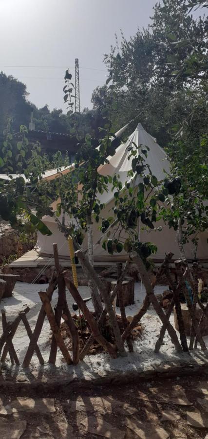 Farm Glamping Tent On Acquaviva Bay *