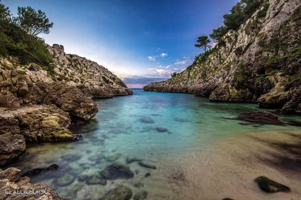Farm Glamping Tent On Acquaviva Bay Tente de luxe