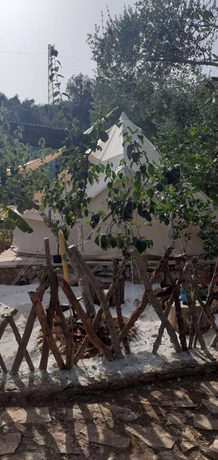 Farm Glamping Tent On Acquaviva Bay Marittima